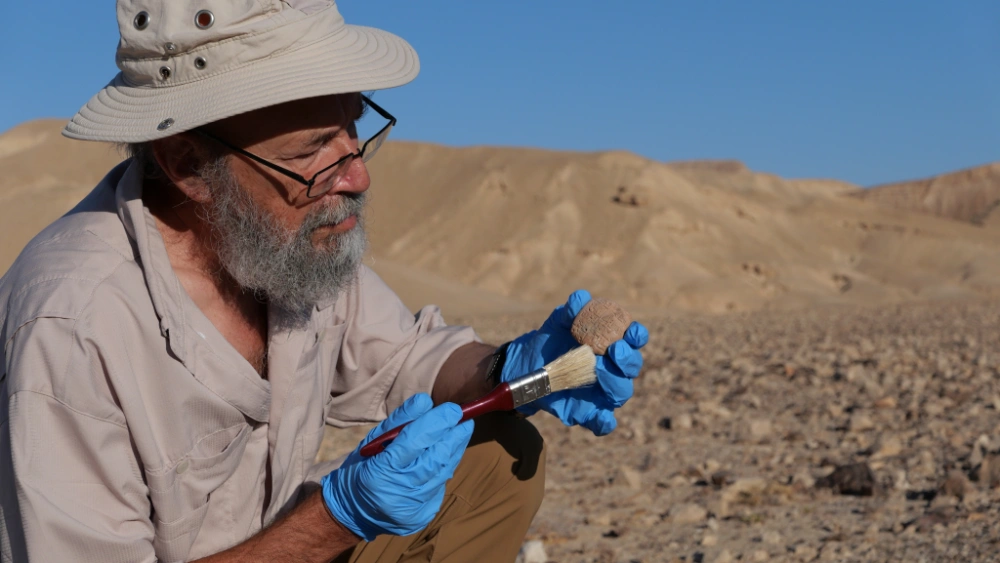 From Dirt to Discovery – Understanding Stratigraphy