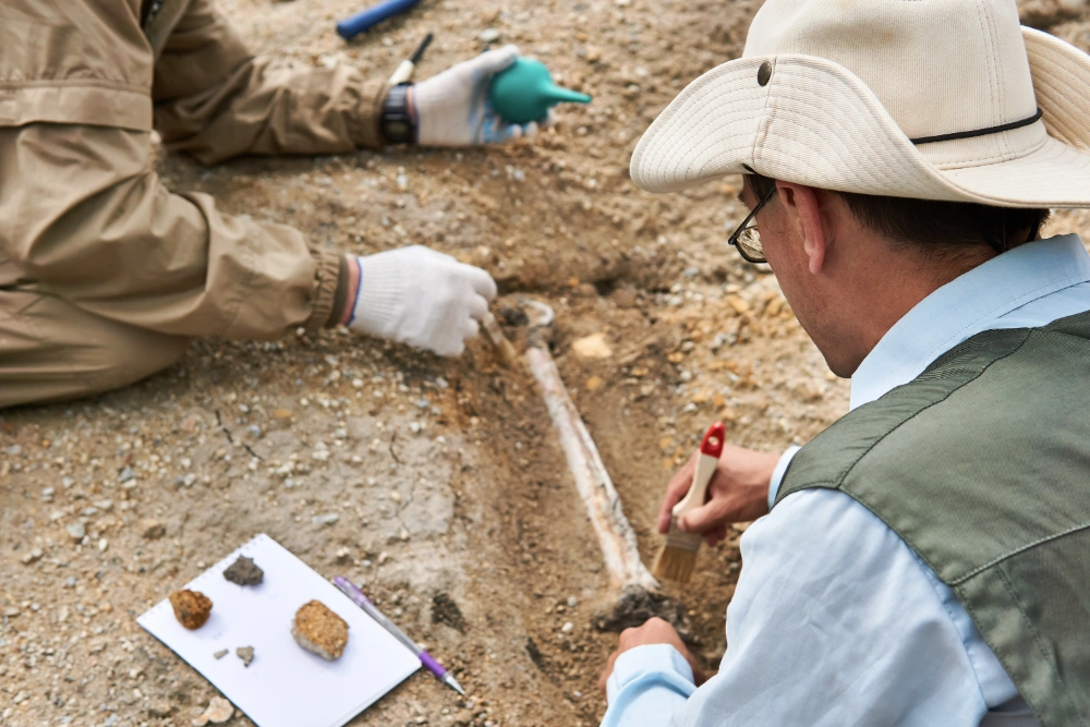 Unearthing the Past – Our Journey into Archaeology Education
