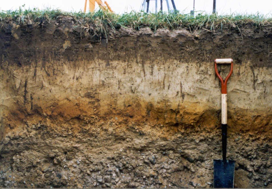 Telling Time Without a Clock: Archaeological Dating Techniques