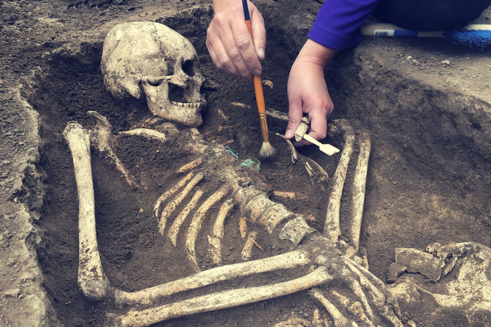 Excavating Human Remains